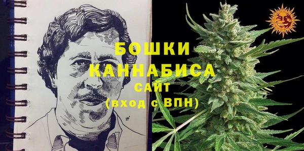 ПСИЛОЦИБИНОВЫЕ ГРИБЫ Верхнеуральск