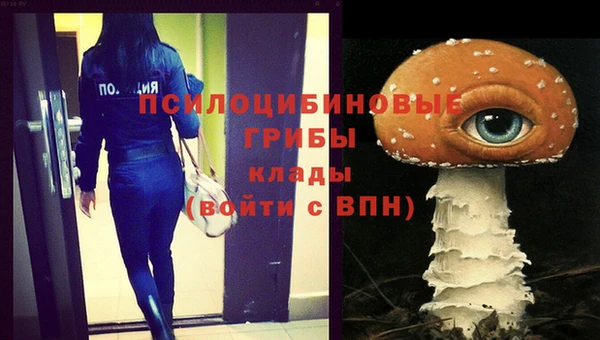 прущий лед Бронницы