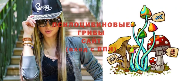 apvp Верея