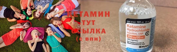 спиды Богородицк