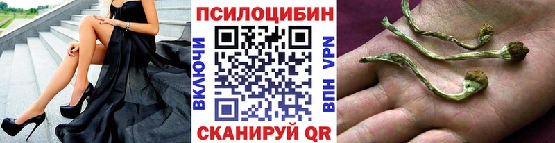 как найти наркотики  Заводоуковск  Галлюциногенные грибы GOLDEN TEACHER 
